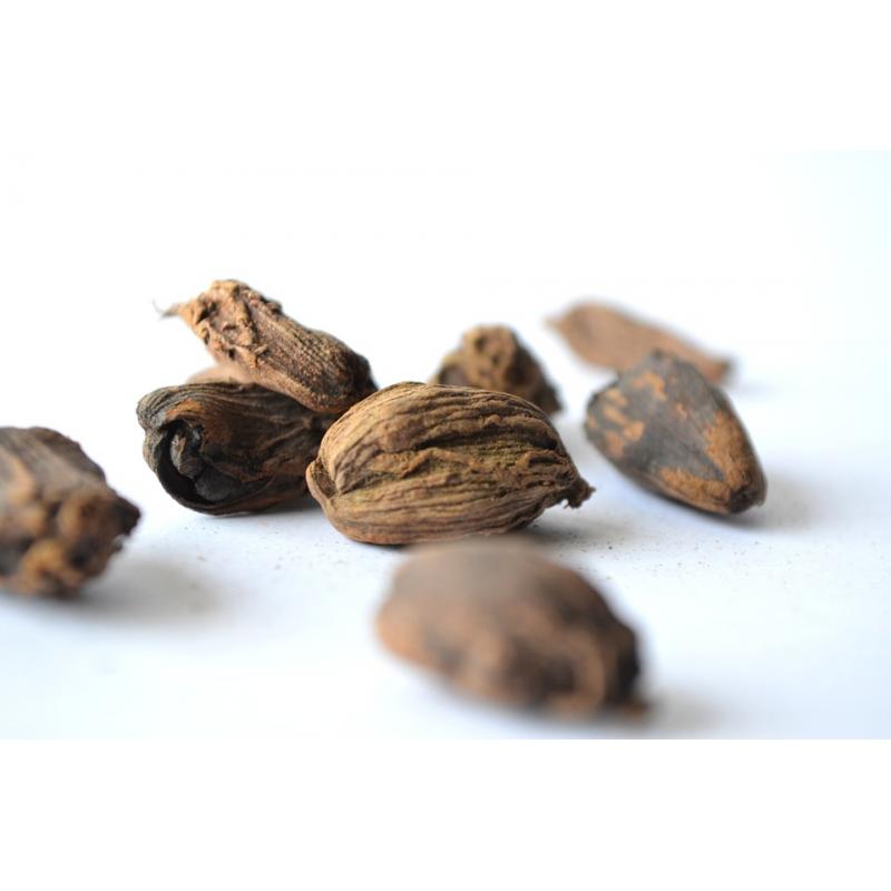 Muscade noix en poudre 30g