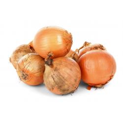 Oignon déshydraté en lamelles 50g