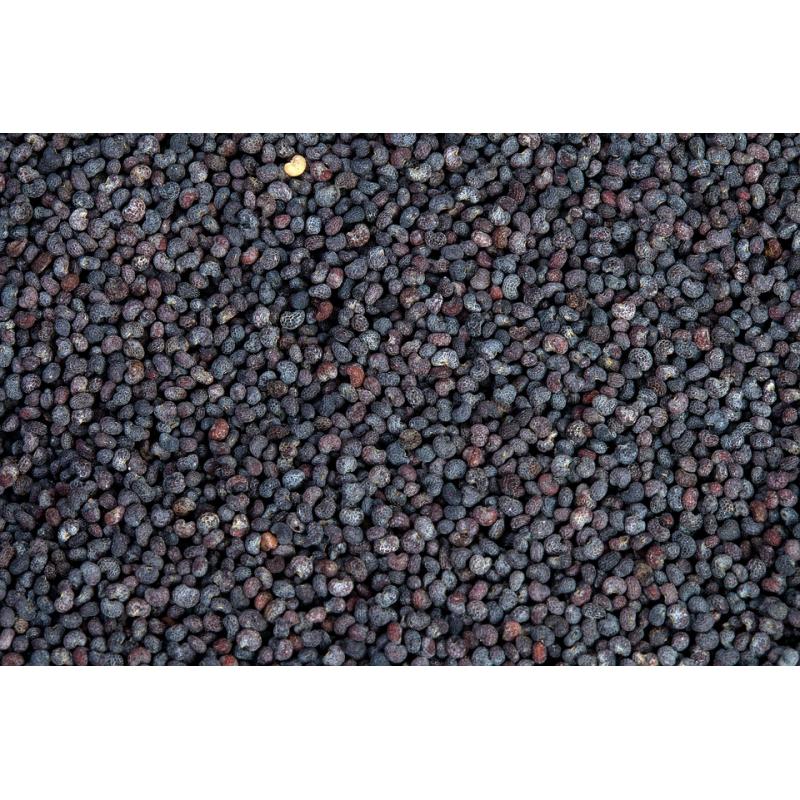 Pavot bleu graines 50g