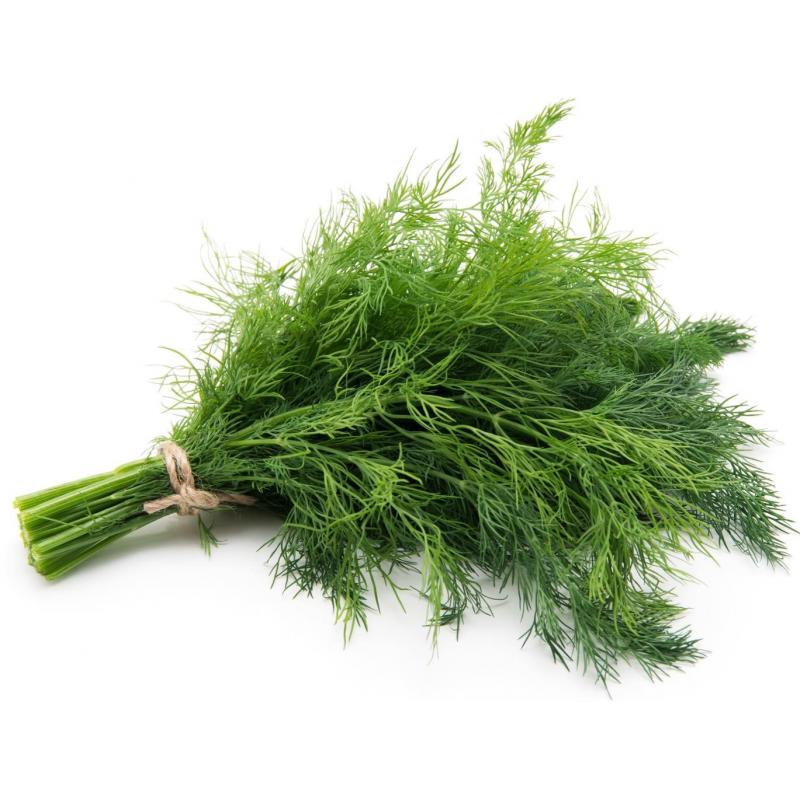 Aneth sommitées 20g