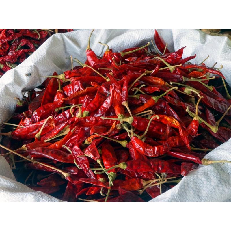 Piment fort en poudre 50g