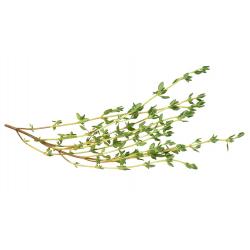 Sarriette feuille 30g