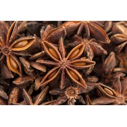 Badiane / Anis étoilé 20g