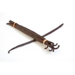 Vanille de Tahiti en gousse 1 pièce