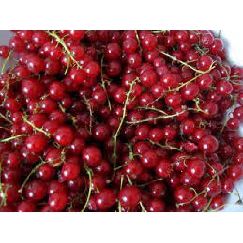 Gelée de groseilles 300g