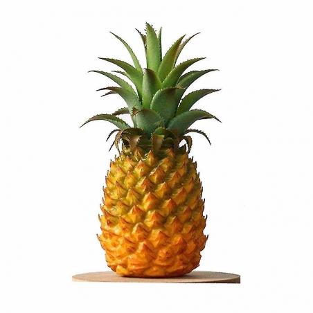 Confiturer ananas passion 330g