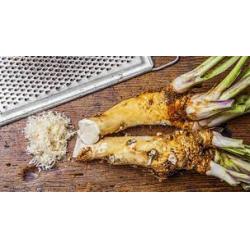 Raifort râpé fort 140g