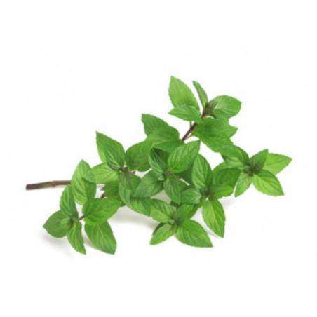 Menthe poivrée feuille 50g