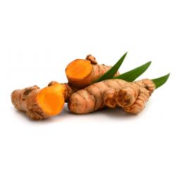 Curcuma racine poudre 40g
