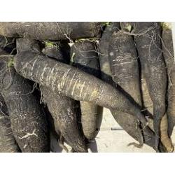 Pickles radis noir 210g