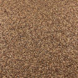 Lin brun en graines 50g