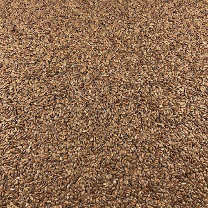 Lin brun en graines 50g