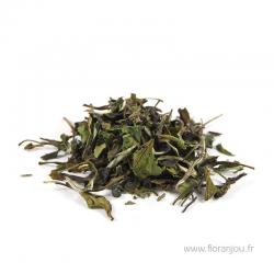 Thé blanc Pai Mu Tan 50g