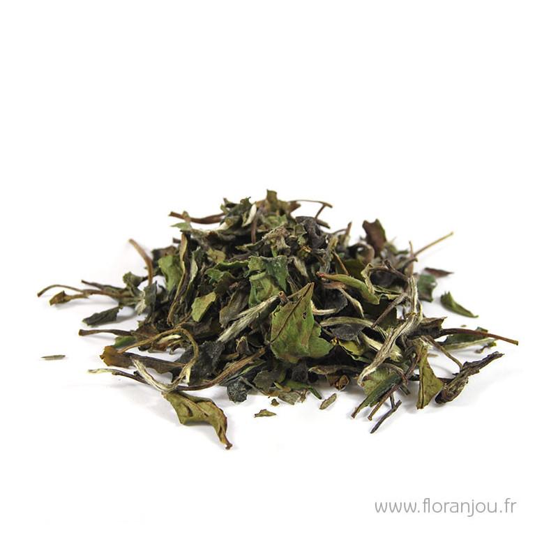 Thé blanc Pai Mu Tan 50g