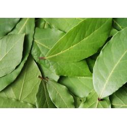 Laurier en feuilles 15g