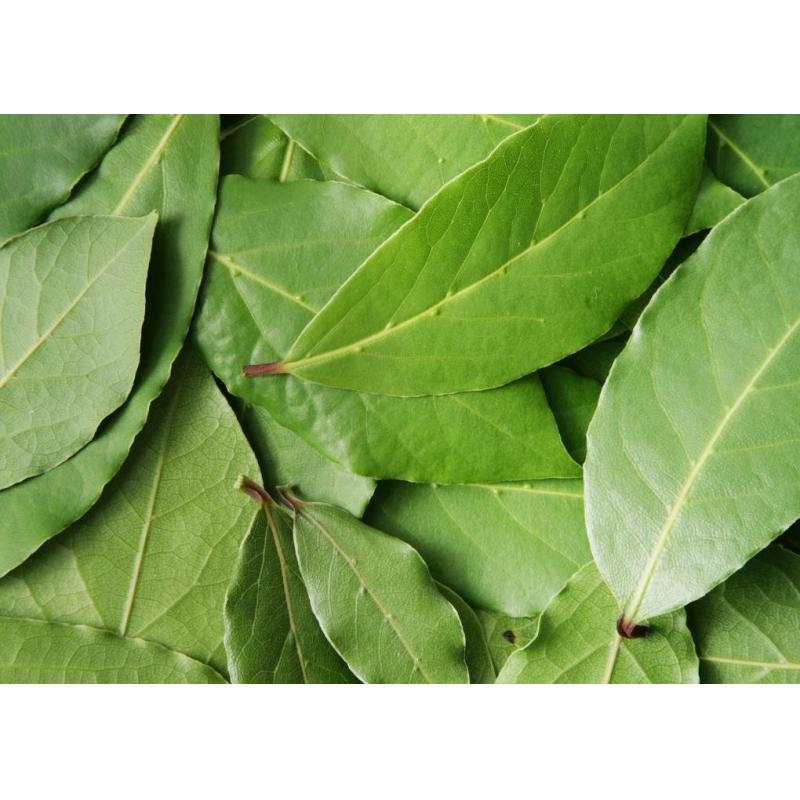 Laurier en feuilles 15g