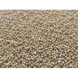 Moutarde jaune graines en farine 50g