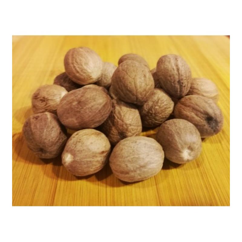 Muscade noix  1 pièce